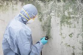 Best Residential Mold Inspection & Testing  in Moundridge, KS